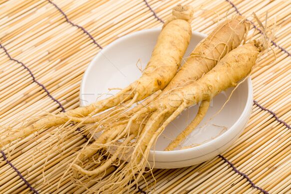 Potentzia estimulatzaile onena ginseng erroa da